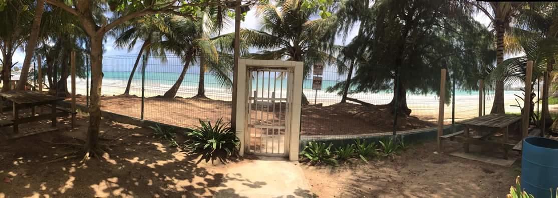 Beach Front Apt Isla Verde 2 Apartment San Juan Luaran gambar